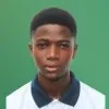 Opeyemi Babayemi