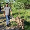Manjunatha Reddy