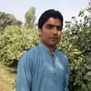 sohail saand