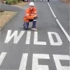 Cameron Wild
