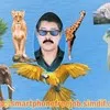 maju bipan