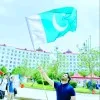 Muhammad Anas