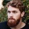 Alex Gurevich