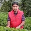 Chandan Das