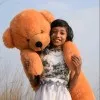Rupsha Ghosh