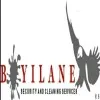 sandile boyilane