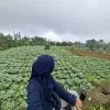 Dwi Lestari