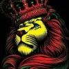 vignesh
