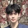 Yanlin Chen