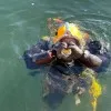 Bill Willson