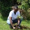 susan wambui