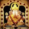 piyush pinnacle