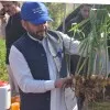Daud Shah