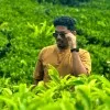 Raveen Kumar Magesvaran