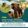 muwebwa Adventure safaris