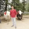 Animesh Das