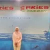 Farbeena