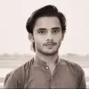 Syed Muhammad Qamar Mehdi