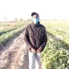 Malick Fall