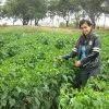 Jessenia Janina Torres Arosemena