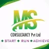 Consultancy