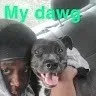 Quan Burris