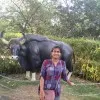 Manichandana Palaparthi