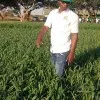 Dixon Cheembo