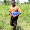 Emmanuel Bio Agyemang