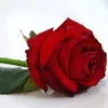 ashokkumar