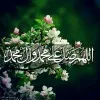 Hafiz Faraz Anees