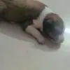 Sonu Sonu