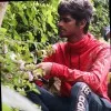 Mahesh Kannan Mv
