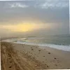 Rawan AL
