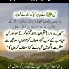Bhat Rumi