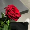 Khadija Noor