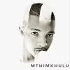 Njabulo Radebe