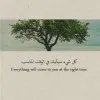 Abeer Ismail
