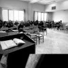 Parima khanbabaei