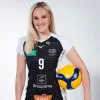 Allie Link
