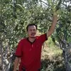 Ahmad Ulyani