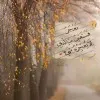 taghreed ashour
