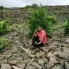 Akhilesh Kumar Varma