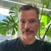 Michael Stein