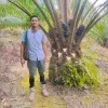 Muhammad Prayudha