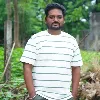 Raja Pallavan
