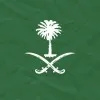 AlAnoud Saud AlSaud