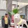 VIKAS BALYAN
