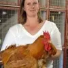 Jane Cockerton