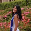 Anshita Lakshmish